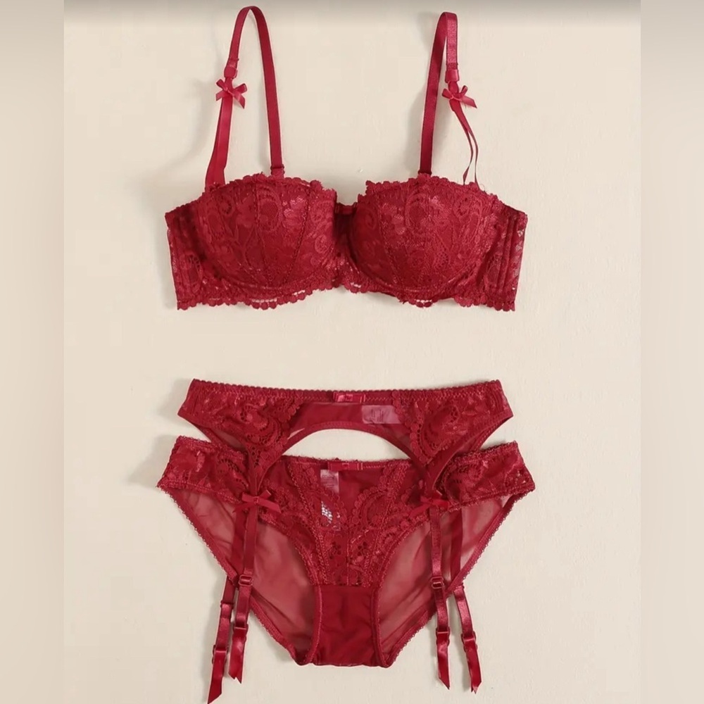 New 3 piece lingerie set, sexy burgundy underwire bra, garter and panty - Picture 1 of 6
